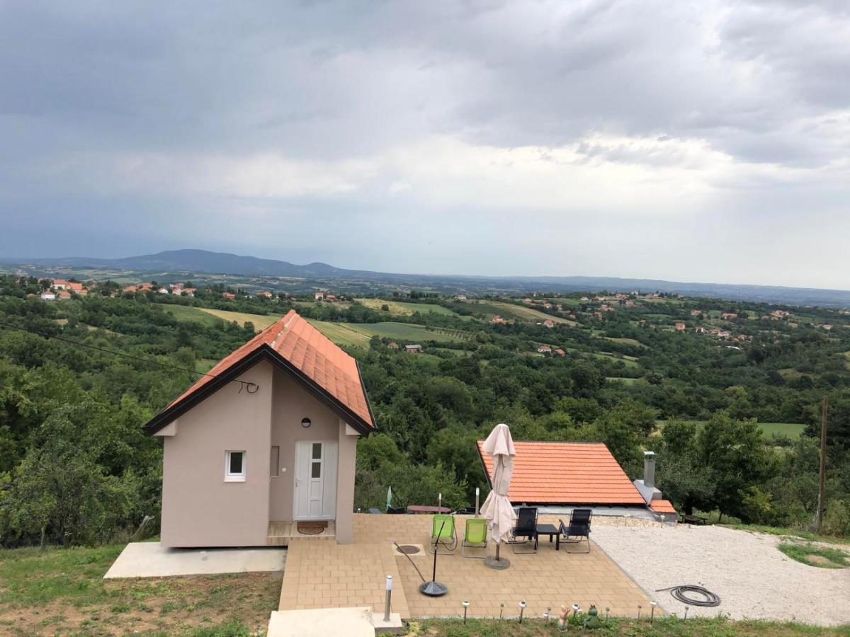 Vila Pogled Аранделовац Экстерьер фото