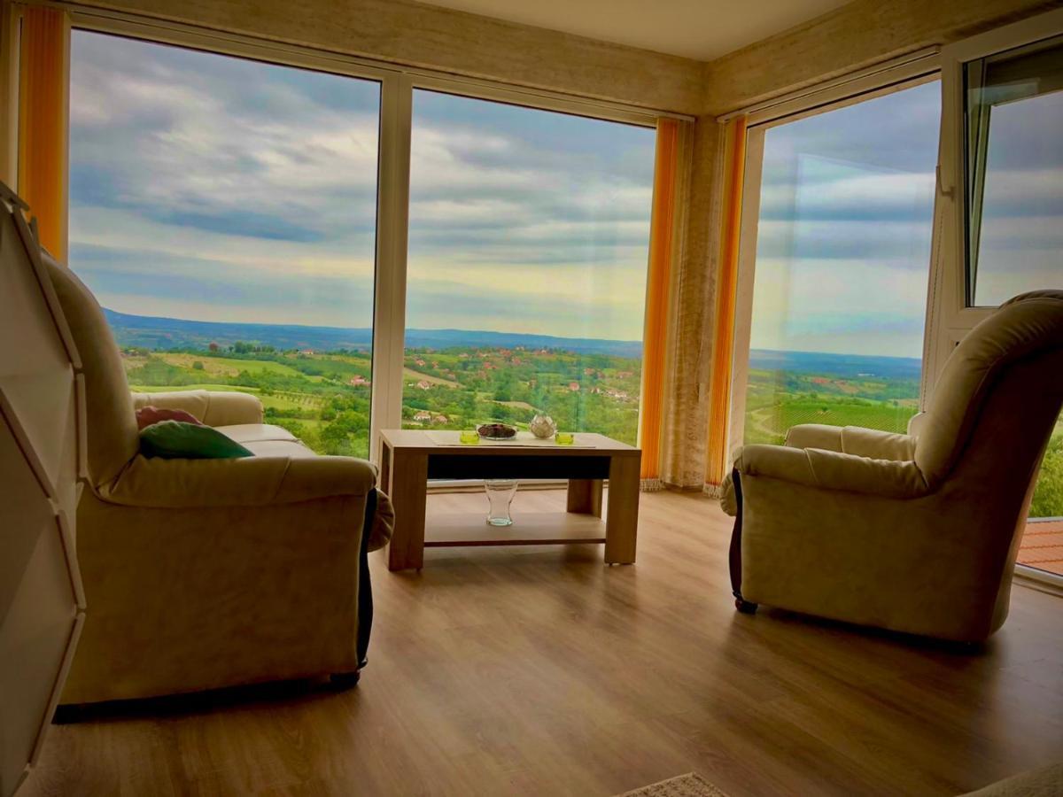 Vila Pogled Аранделовац Экстерьер фото